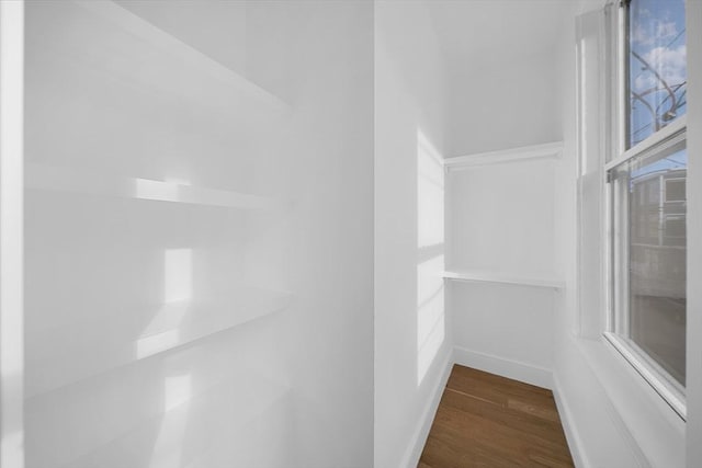 walk in closet featuring dark wood-type flooring