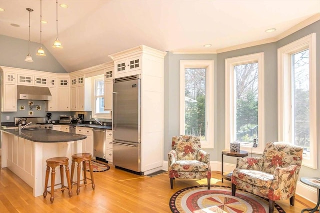 385 Barnes Rd, Oak Bluffs, MA 02557 - kitchen with appliances with stainless steel finishes, dark countertops, under cabinet range hood, light wood-style floors, and lofted ceiling