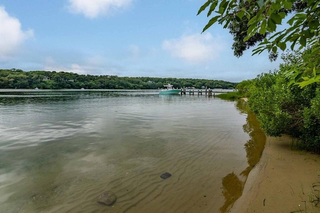 385 Barnes Rd, Oak Bluffs, MA 02557 - water view featuring a forest