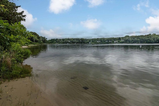 385 Barnes Rd, Oak Bluffs, MA 02557 - water view featuring a heavily wooded area