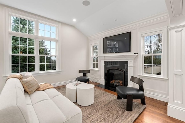 living area with lofted ceiling, a fireplace, wood finished floors, and plenty of natural light