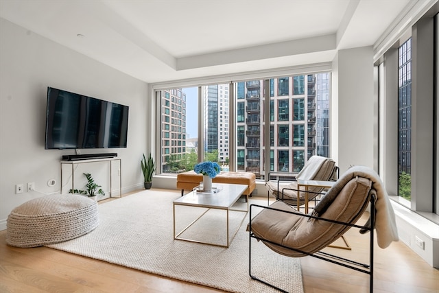 living room featuring light hardwood / wood-style flooring