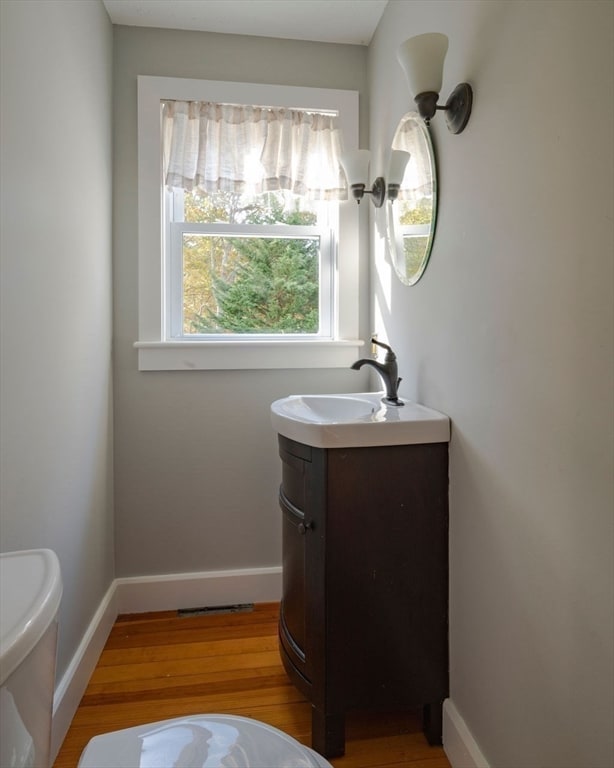 bathroom with vanity and wood-type flooring