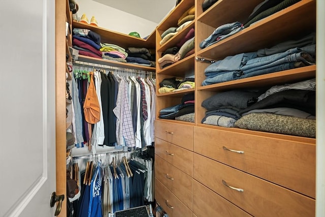 615 E 6th St Unit 6, Boston, MA 02127 - view of walk in closet