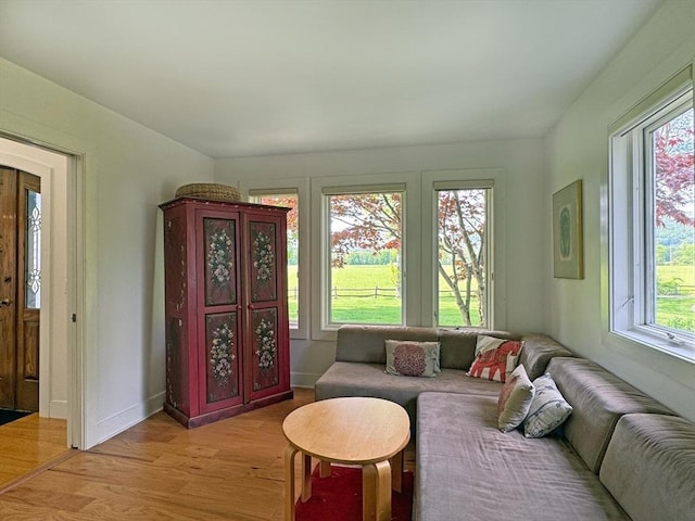 187 Plain Rd, Greenfield, MA 01301 - living room featuring light wood-style flooring and baseboards