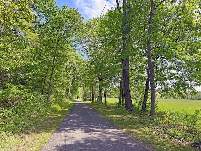 187 Plain Rd, Greenfield, MA 01301 - view of road