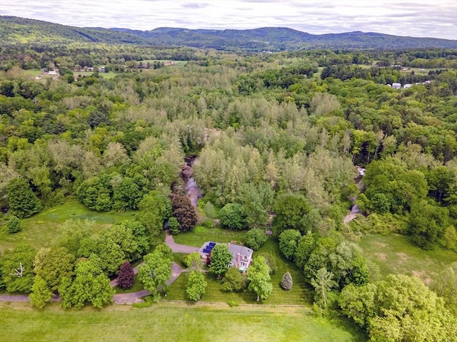 187 Plain Rd, Greenfield, MA 01301 - drone / aerial view of a heavily wooded area and mountains