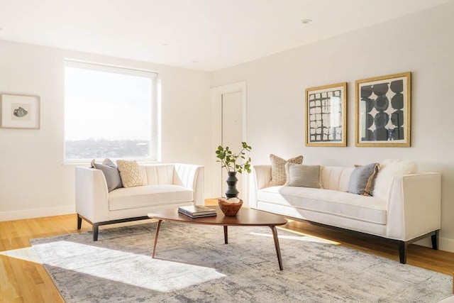 living room featuring wood-type flooring