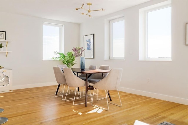 dining room featuring hardwood / wood-style floors