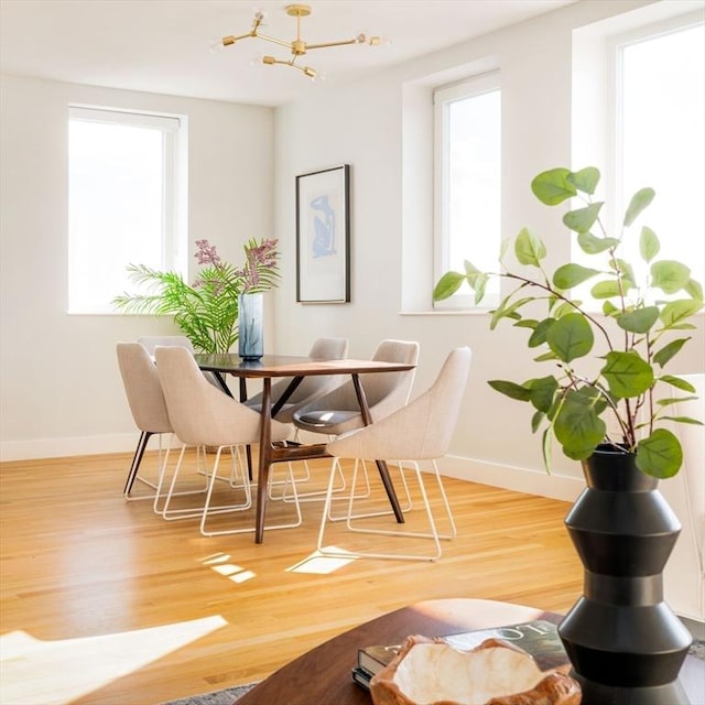 dining room with hardwood / wood-style flooring