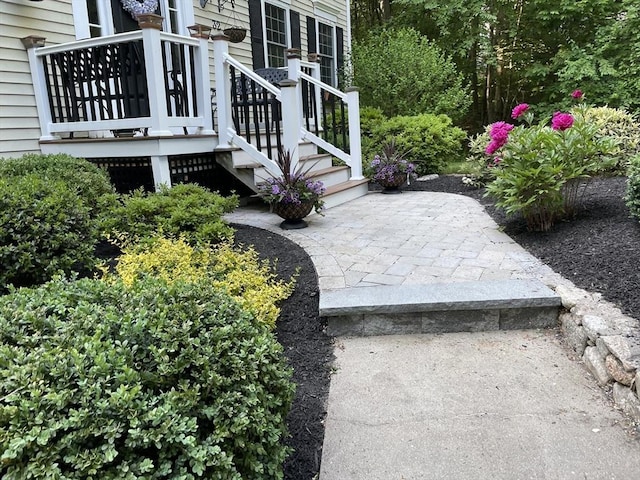 view of patio