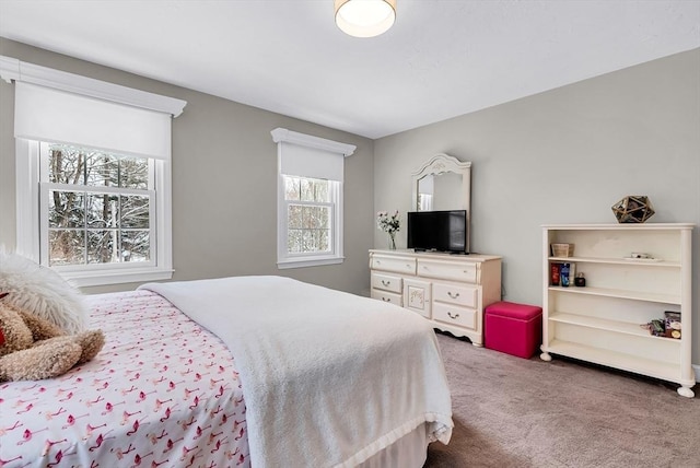 bedroom with carpet floors