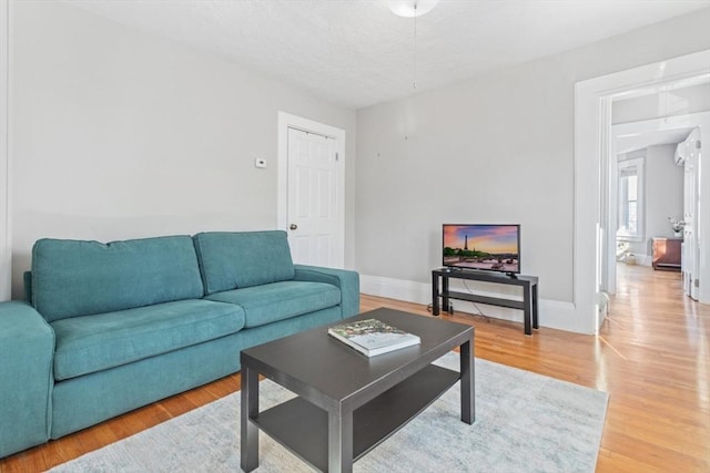 living room featuring light hardwood / wood-style flooring