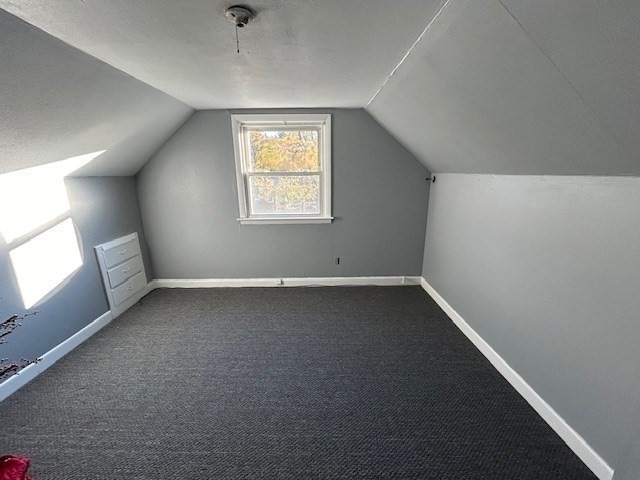 bonus room featuring a textured ceiling, lofted ceiling, and carpet