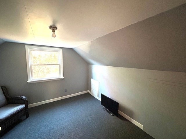 additional living space featuring lofted ceiling and dark colored carpet