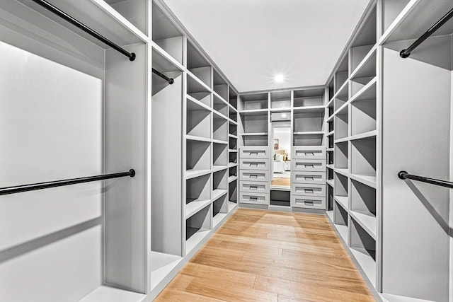 spacious closet with hardwood / wood-style floors