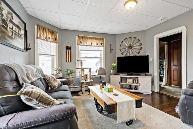 living area featuring a paneled ceiling, a baseboard radiator, and wood finished floors