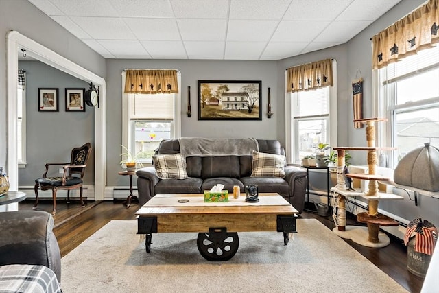 living room featuring a paneled ceiling, a baseboard radiator, baseboards, and wood finished floors