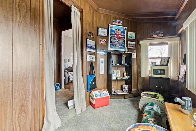 rec room with carpet flooring and wooden walls