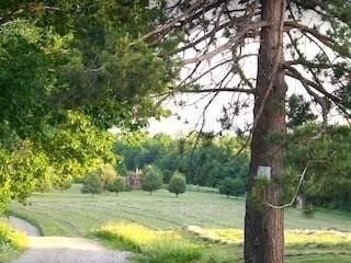0 Gibbs Rd, Blandford, MA 01008
