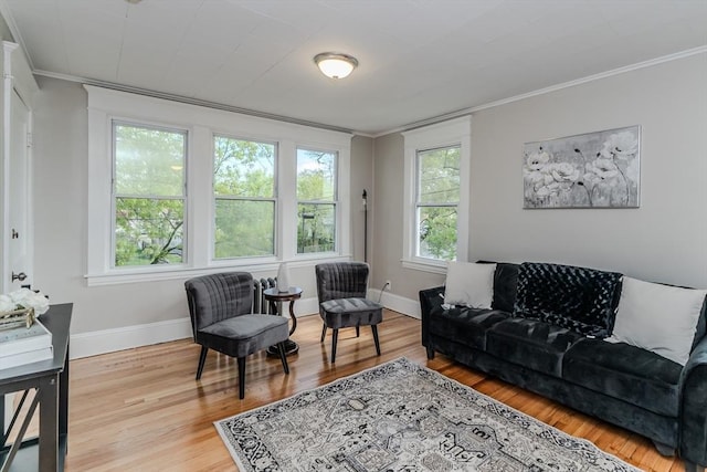 229 Saint James Blvd, Springfield, MA 01104 - living room featuring ornamental molding, wood finished floors, and baseboards