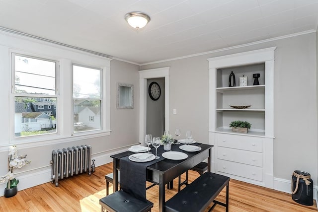 229 Saint James Blvd, Springfield, MA 01104 - dining room with radiator, healthy amount of natural light, crown molding, and light wood-type flooring