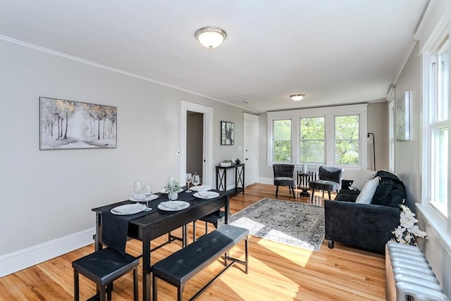229 Saint James Blvd, Springfield, MA 01104 - dining space featuring radiator heating unit, crown molding, light wood finished floors, and healthy amount of natural light