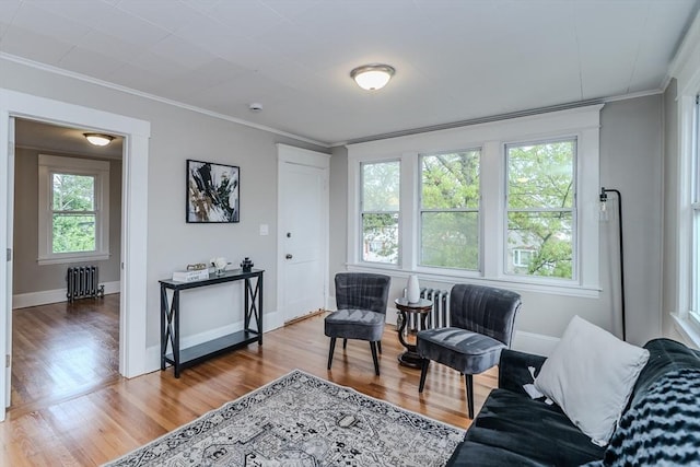 229 Saint James Blvd, Springfield, MA 01104 - living area with radiator, healthy amount of natural light, ornamental molding, and wood finished floors