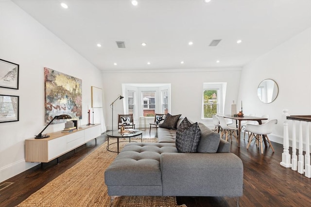 living room featuring dark hardwood / wood-style flooring