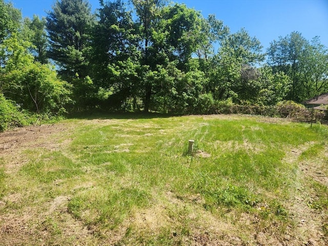 192 White St, Lunenburg, MA 01462 - view of yard