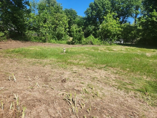 192 White St, Lunenburg, MA 01462 - view of nature