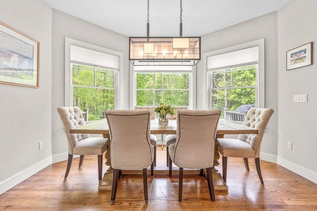 29 Flat Pond Cir, Mashpee, MA 02649 - dining space featuring plenty of natural light, baseboards, and wood finished floors