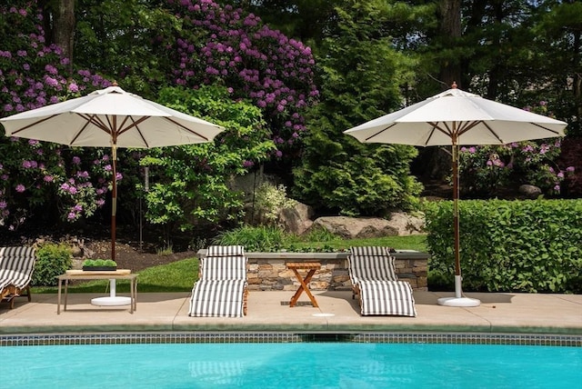 81 Countryside Ln, Milton, MA 02186 - swimming pool with a patio area