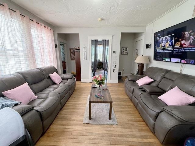 15 Circuit Ave E, Worcester, MA 01603 - living area featuring light wood-type flooring, ornamental molding, a textured ceiling, and baseboards