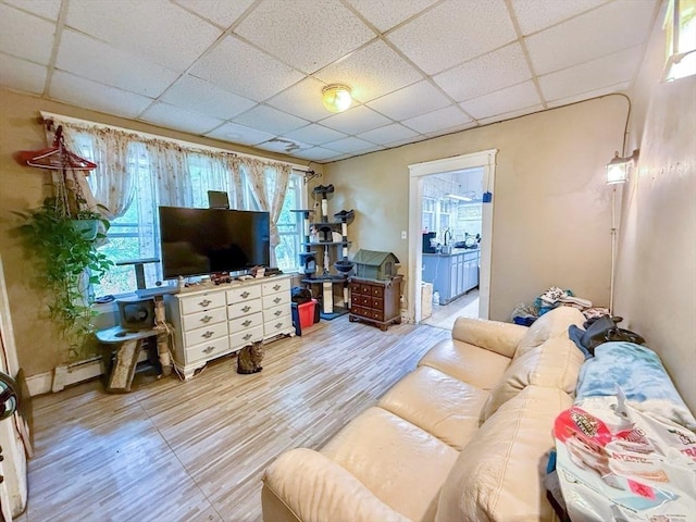 15 Circuit Ave E, Worcester, MA 01603 - living room with a paneled ceiling, healthy amount of natural light, a baseboard radiator, and wood finished floors