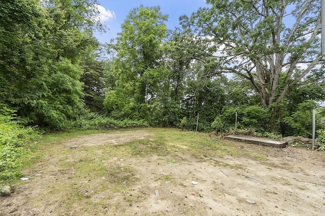 551 Chestnut St, Athol, MA 01331 - view of yard with a forest view
