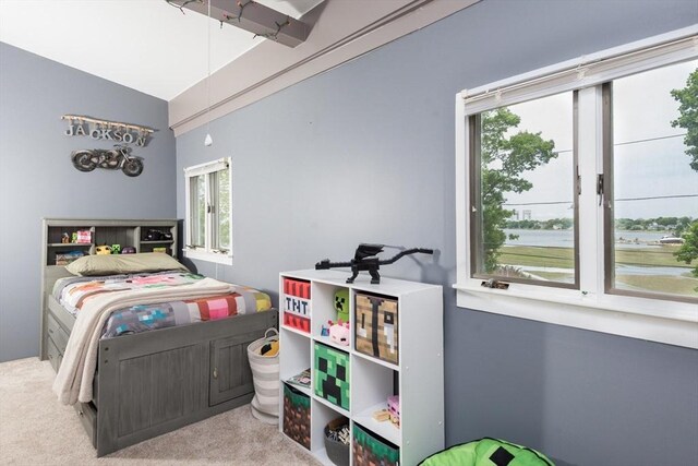 38 Colonial Rd, Weymouth, MA 02191 - bedroom featuring carpet and vaulted ceiling
