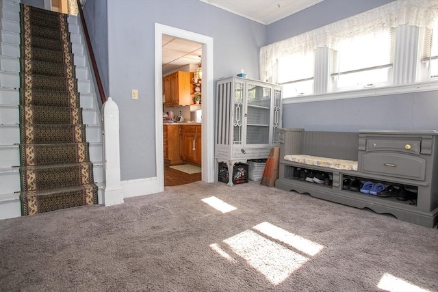 living room featuring carpet, stairs, and crown molding