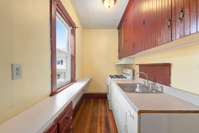 kitchen featuring dark hardwood / wood-style flooring, plenty of natural light, white gas stove, and sink