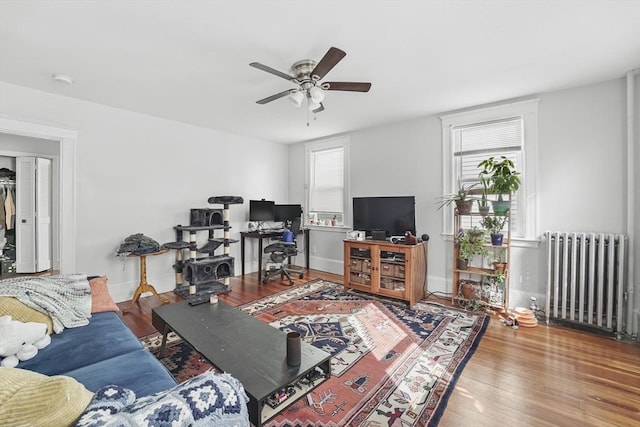 living room with ceiling fan, radiator heating unit, hardwood / wood-style floors, and plenty of natural light