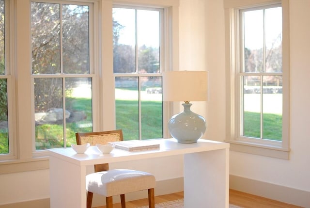 interior space featuring a healthy amount of sunlight and light wood-type flooring