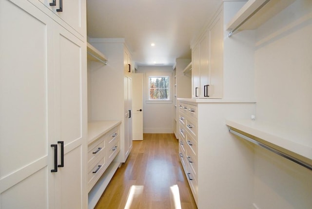 walk in closet with light wood-type flooring