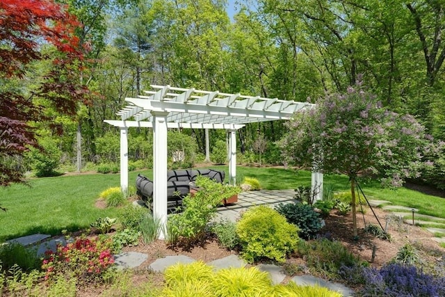 view of grassy yard featuring a pergola