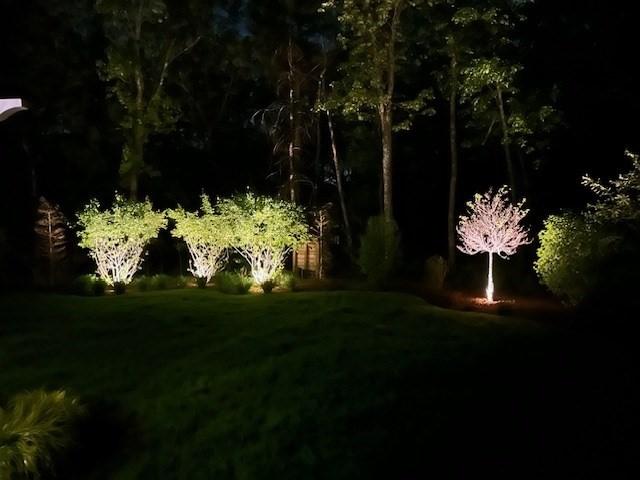 view of grassy yard