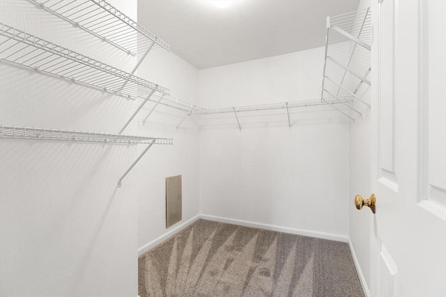 walk in closet with carpet