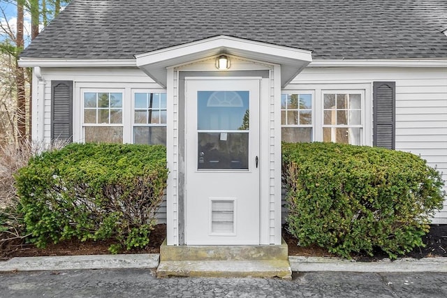 view of exterior entry with roof with shingles
