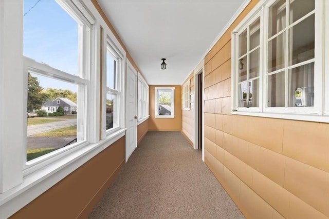 hall with light carpet