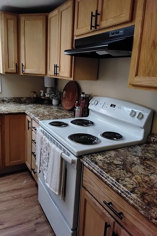 kitchen featuring wood finished floors, dark stone counters, electric stove, and under cabinet range hood