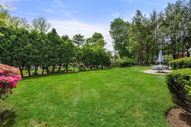 39 Manton Rd, Swampscott, MA 01907 - view of green lawn with a patio