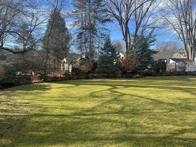 view of yard